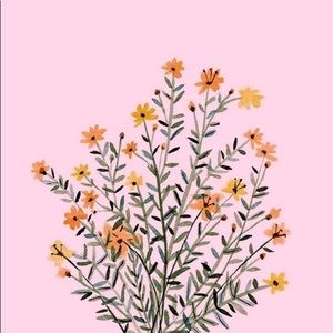 Meet your Posher, Ari